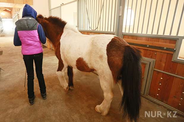 Как лошади помогают больным детям